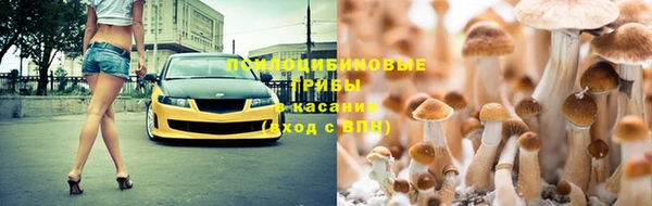 СК Абаза