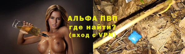 СК Абаза