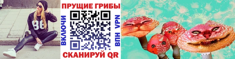 где купить наркотик  Ачхой-Мартан  Псилоцибиновые грибы ЛСД 